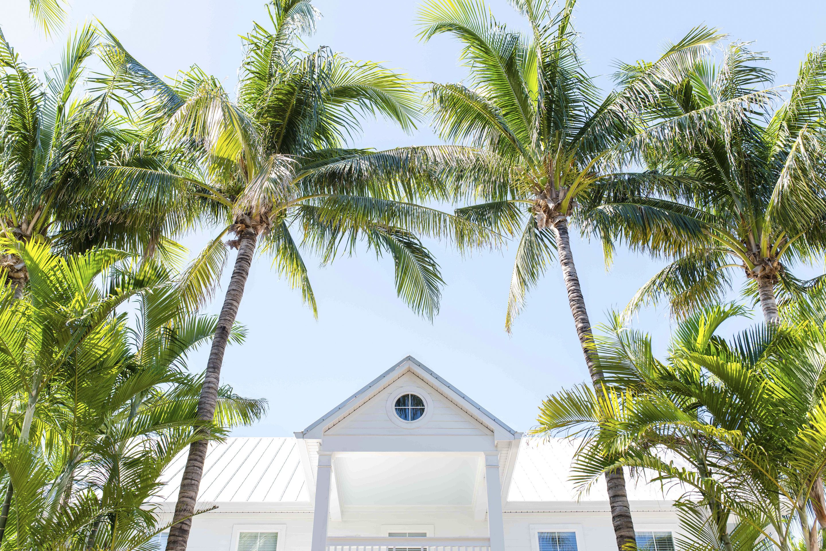 A white building with a triangular roof and a central circular window, surrounded by tall palm trees.