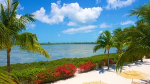 A beach with palm trees, a sandy shore, and a calm sea under a clear sky. - Parrot Key Hotel & Villas (Key West)
