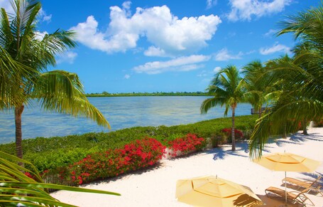 Parrot Key Hotel Villas - Image 41