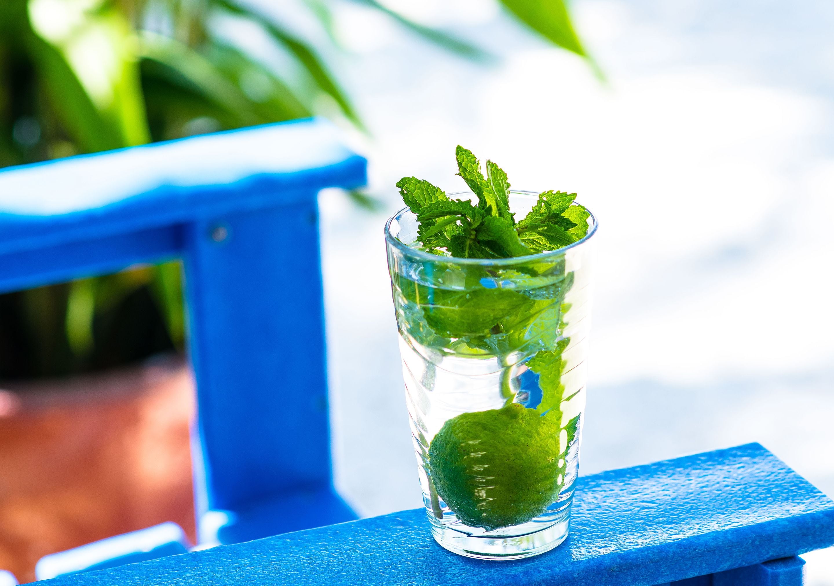 Foto - Parrot Key Hotel & Villas