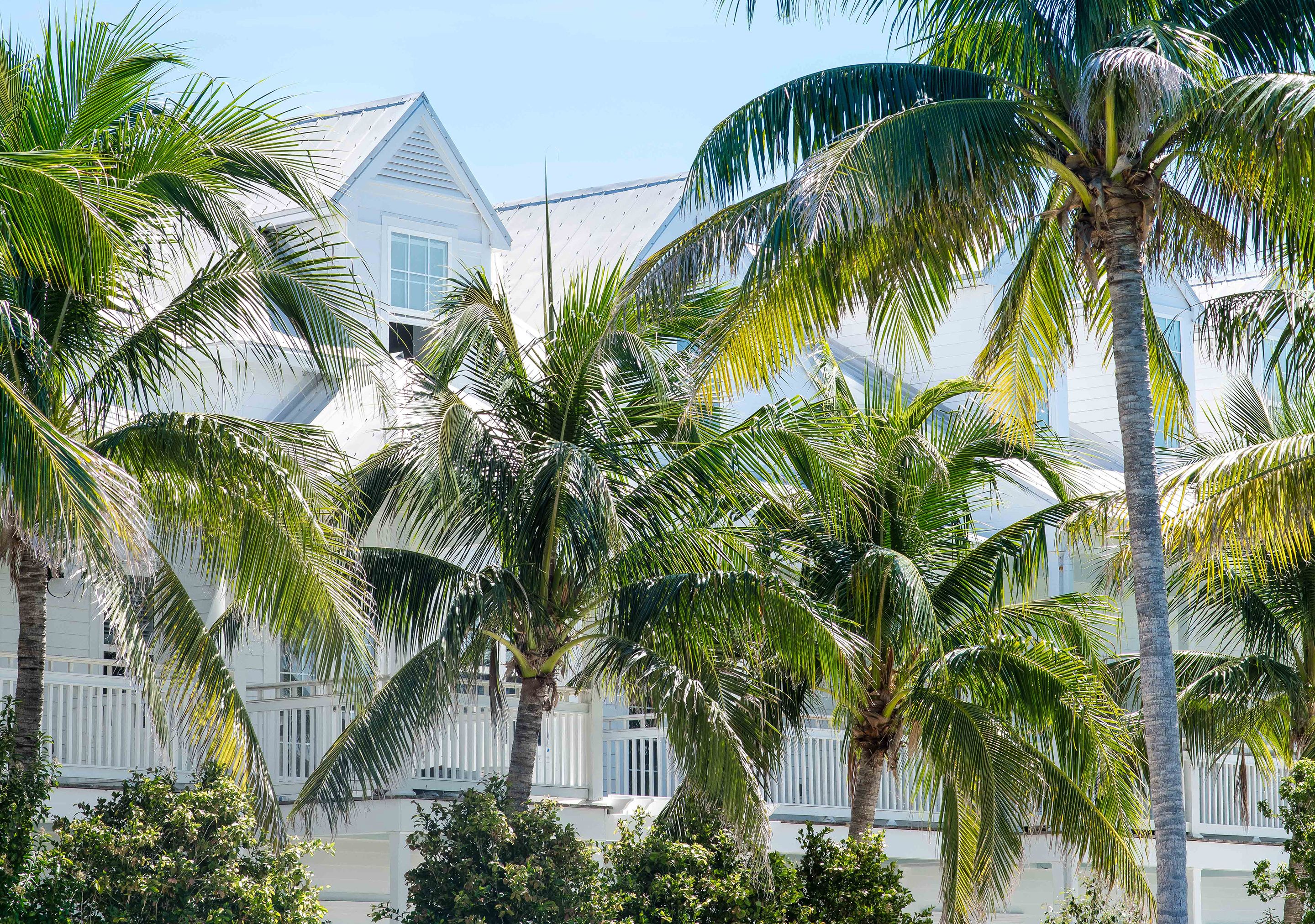 A white building with a symmetrical facade, surrounded by palm trees.