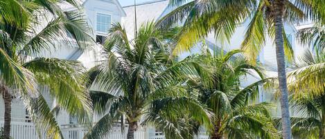 A white building with a symmetrical facade, surrounded by palm trees.