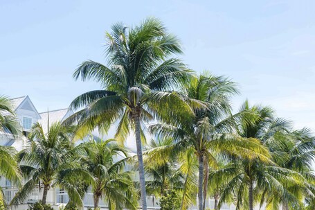 Parrot Key Hotel Villas - Image 54
