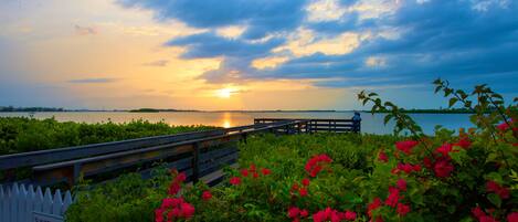 Pasarela de madera que conduce a un muelle sobre el agua, rodeada de exuberante follaje y flores rojas.