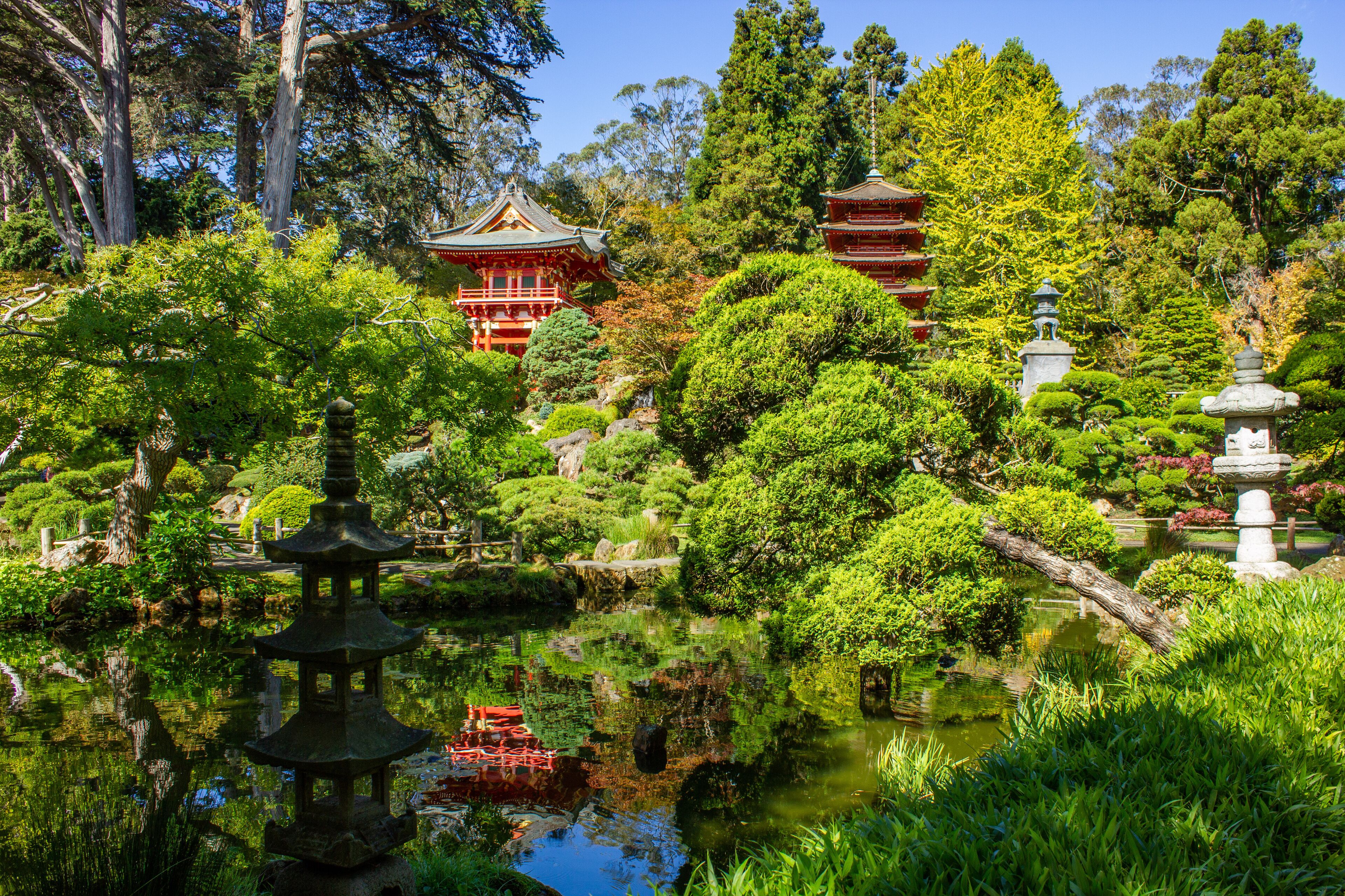 Ein traditioneller japanischer Garten mit Teich, Pagode und üppigem Grün.