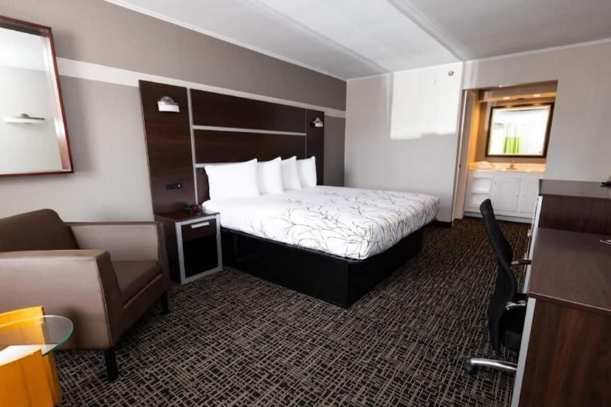 Free minibar, desk, free WiFi, bed sheets