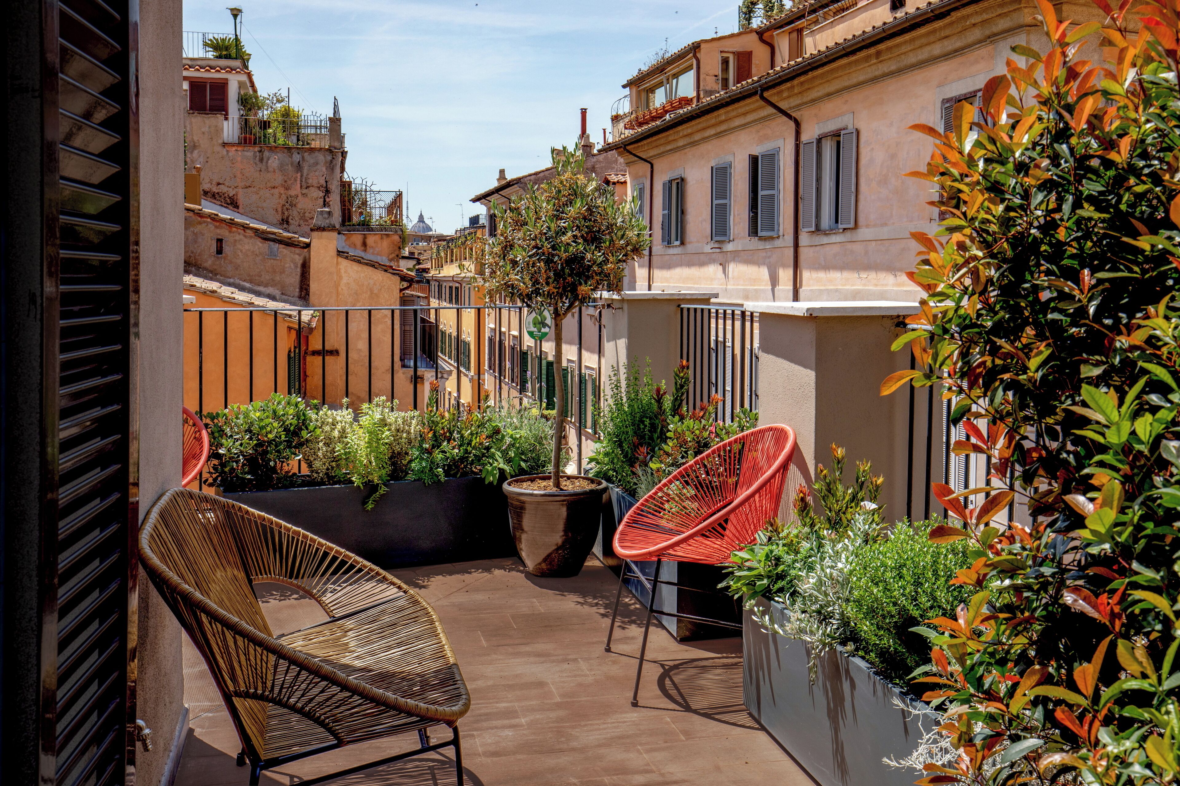 Un patio con dos sillas de mimbre, un árbol en maceta y un jarrón con diversas plantas.