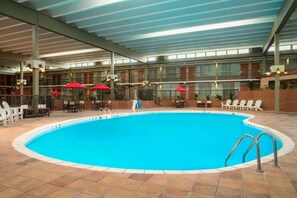 Indoor pool, sun loungers