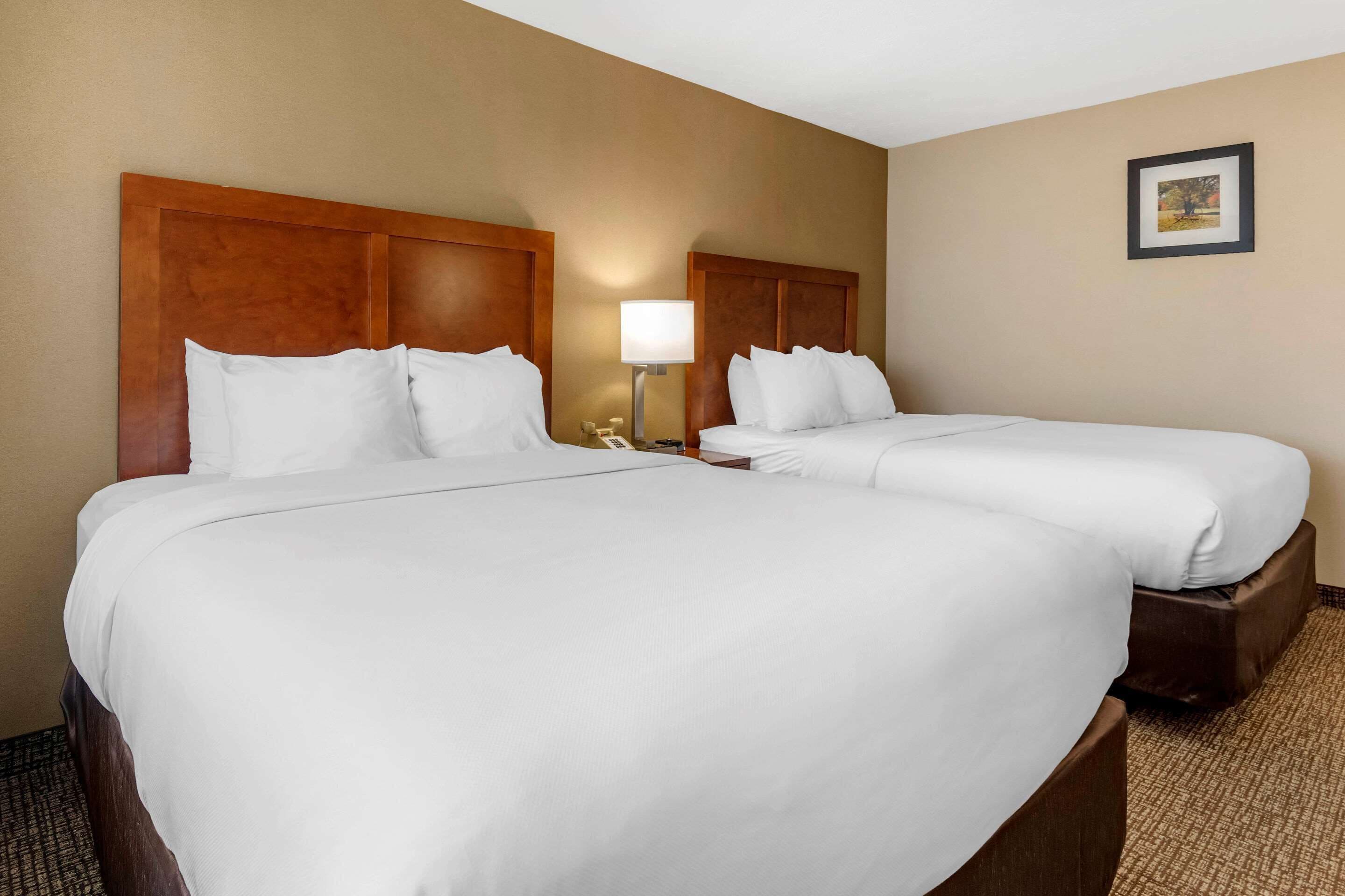 A hotel room with two beds, a nightstand with a lamp, and a framed picture on the wall.