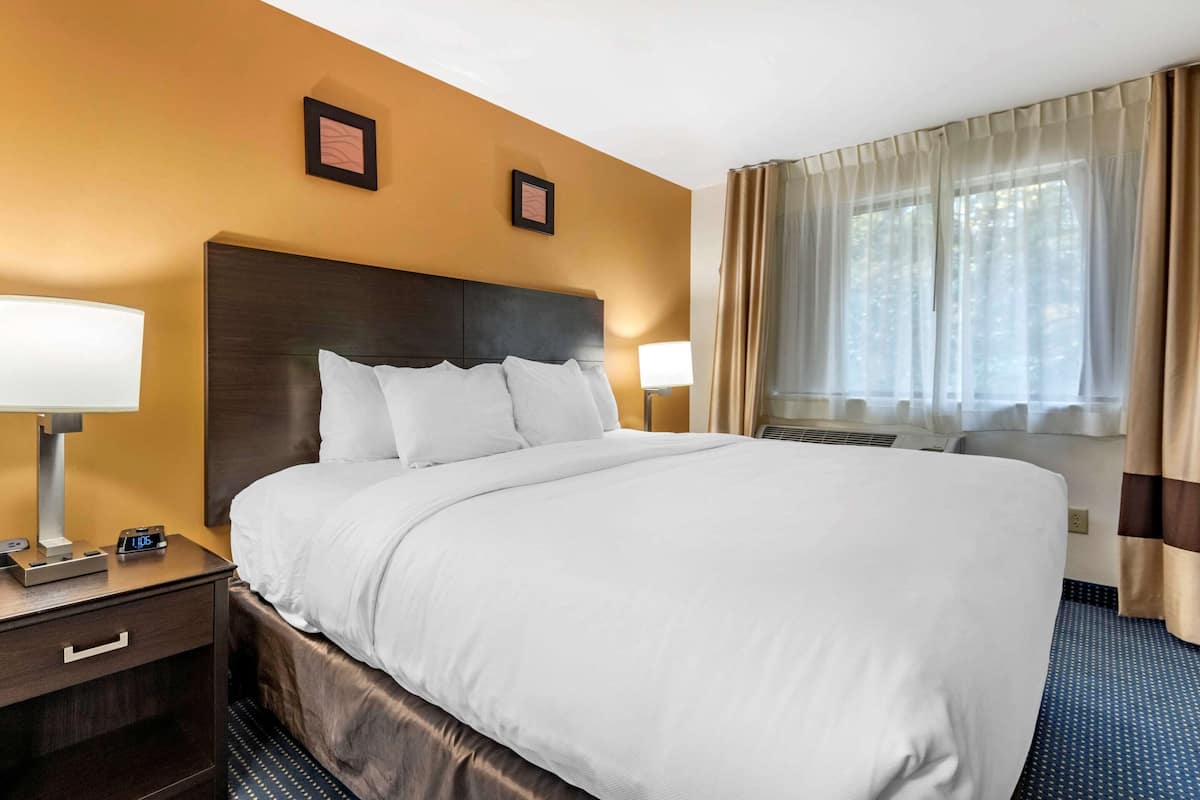 Suite, 1 King Bed with Sofa bed, Non Smoking | Premium bedding, in-room safe, desk, blackout curtains