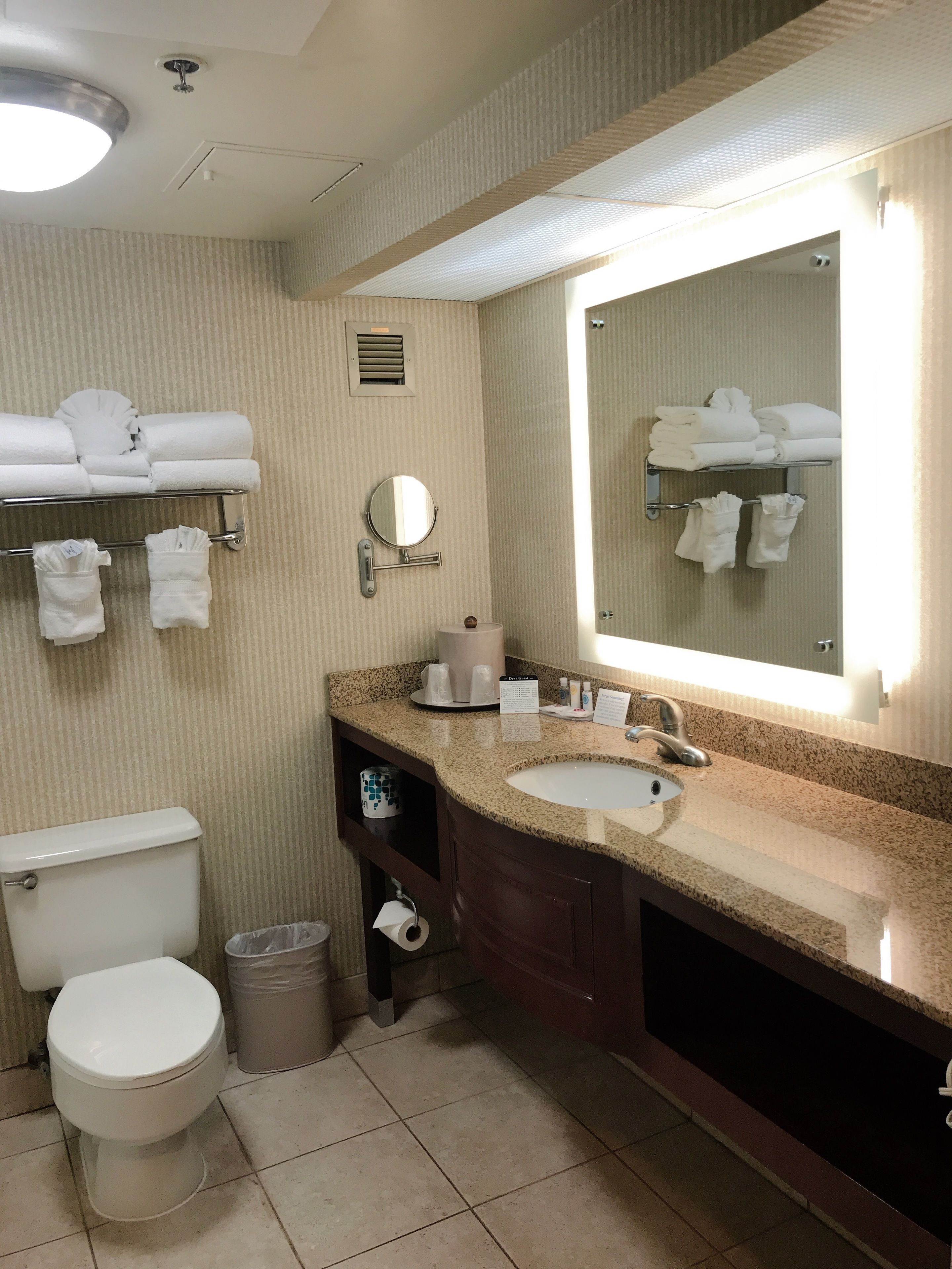 combined shower/bathtub, free toiletries, hair dryer, towels