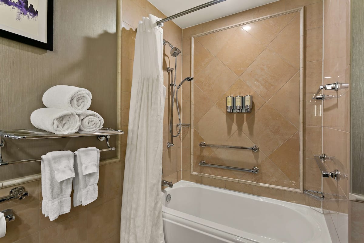 combined shower/bathtub, free toiletries, hair dryer, towels
