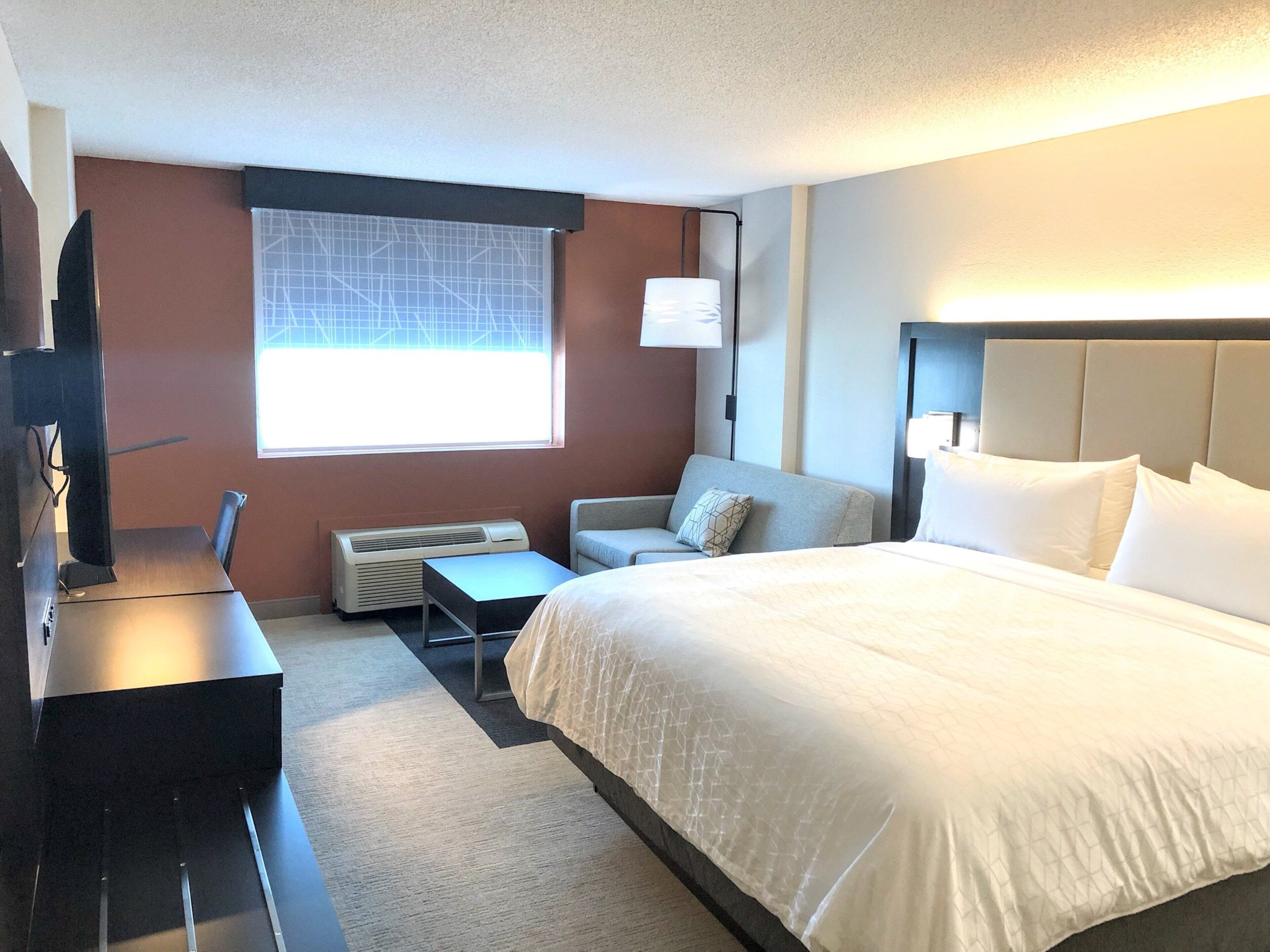 Standard Room, 1 King Bed with Sofa bed