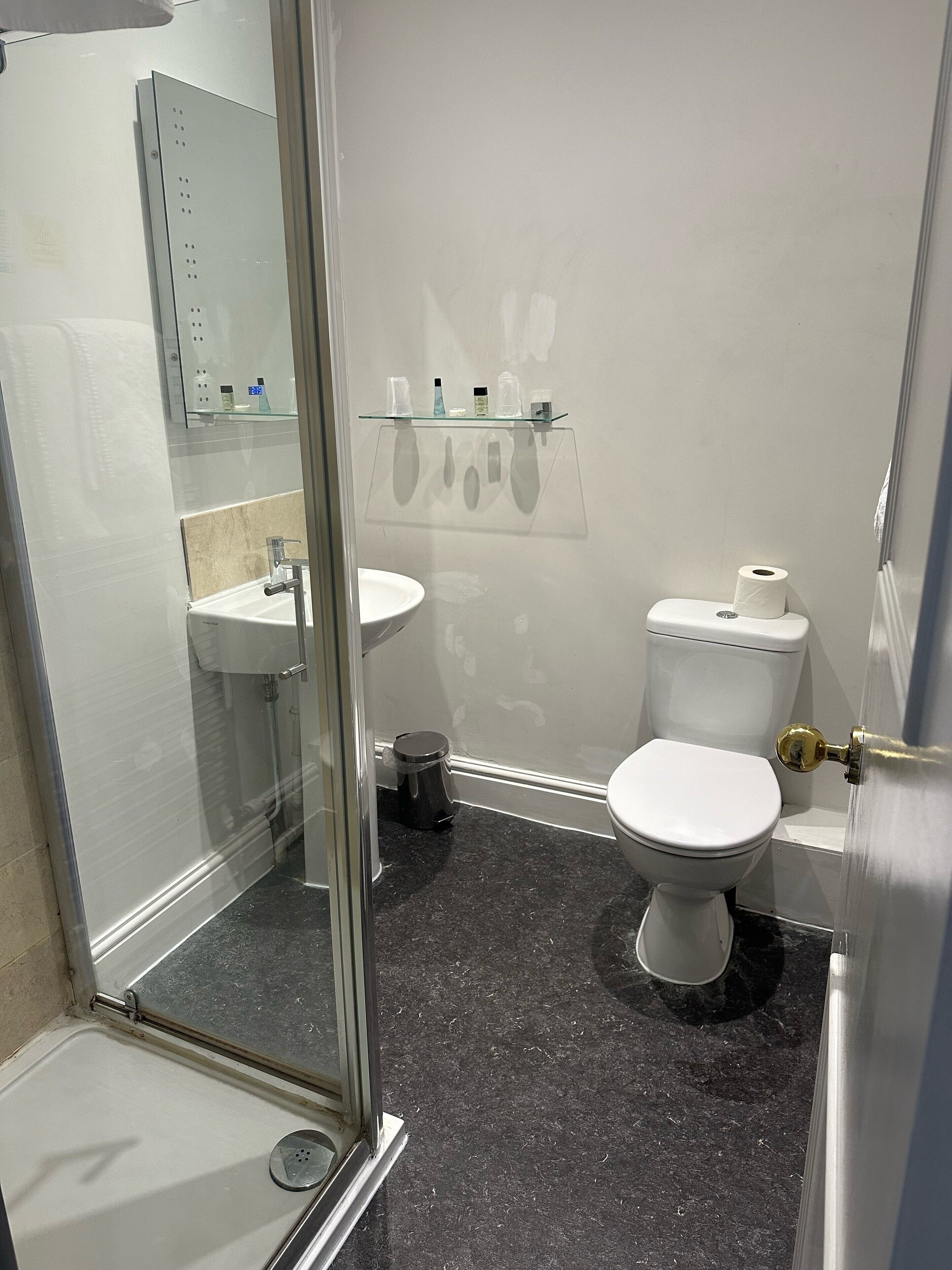 A bathroom with a glass shower enclosure, a white sink, a toilet, and a glass shelf with toiletries.