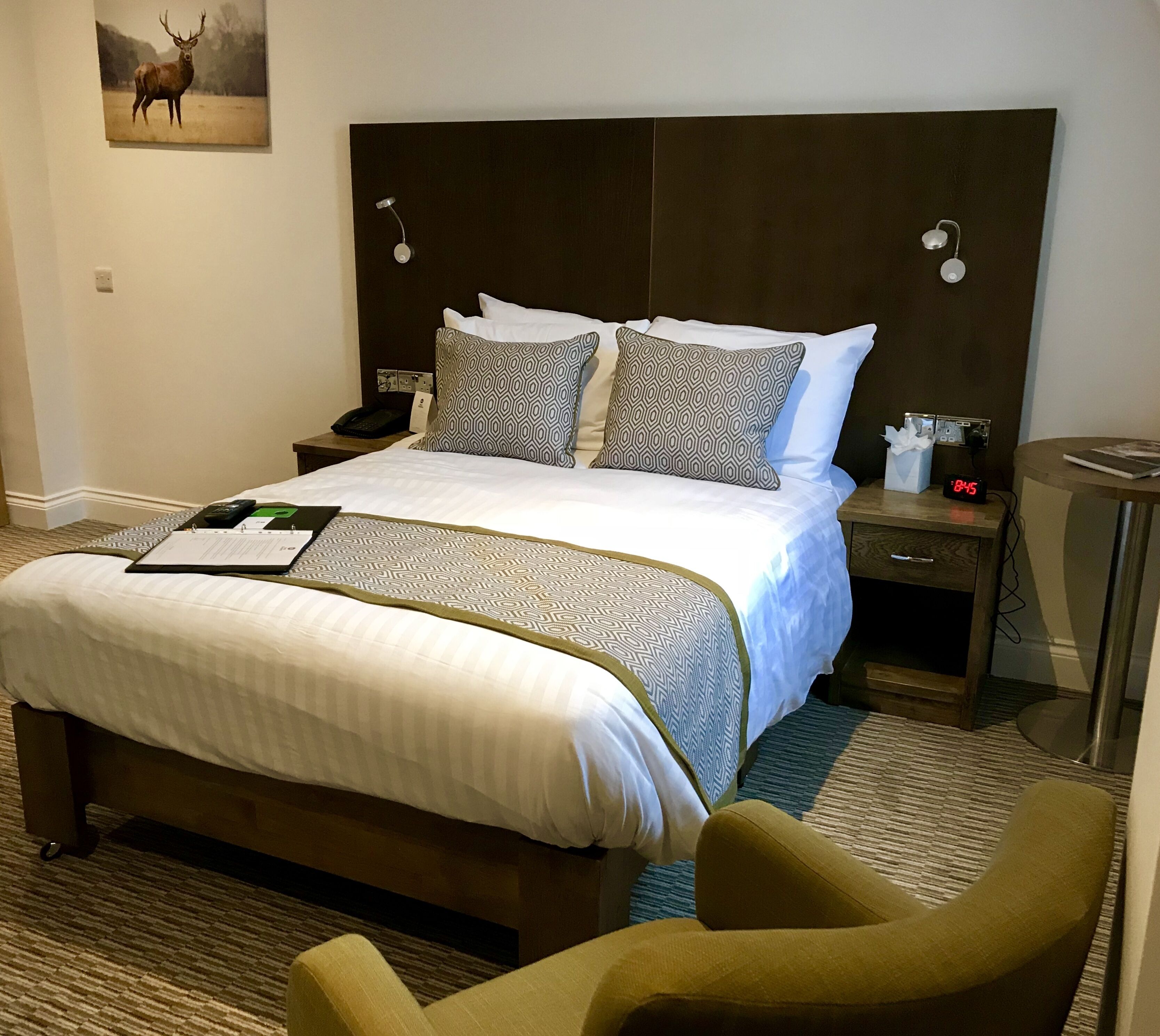 A hotel room with a large bed, patterned pillows, a bedside table with a phone and tissues, and a clock displaying 8:45.