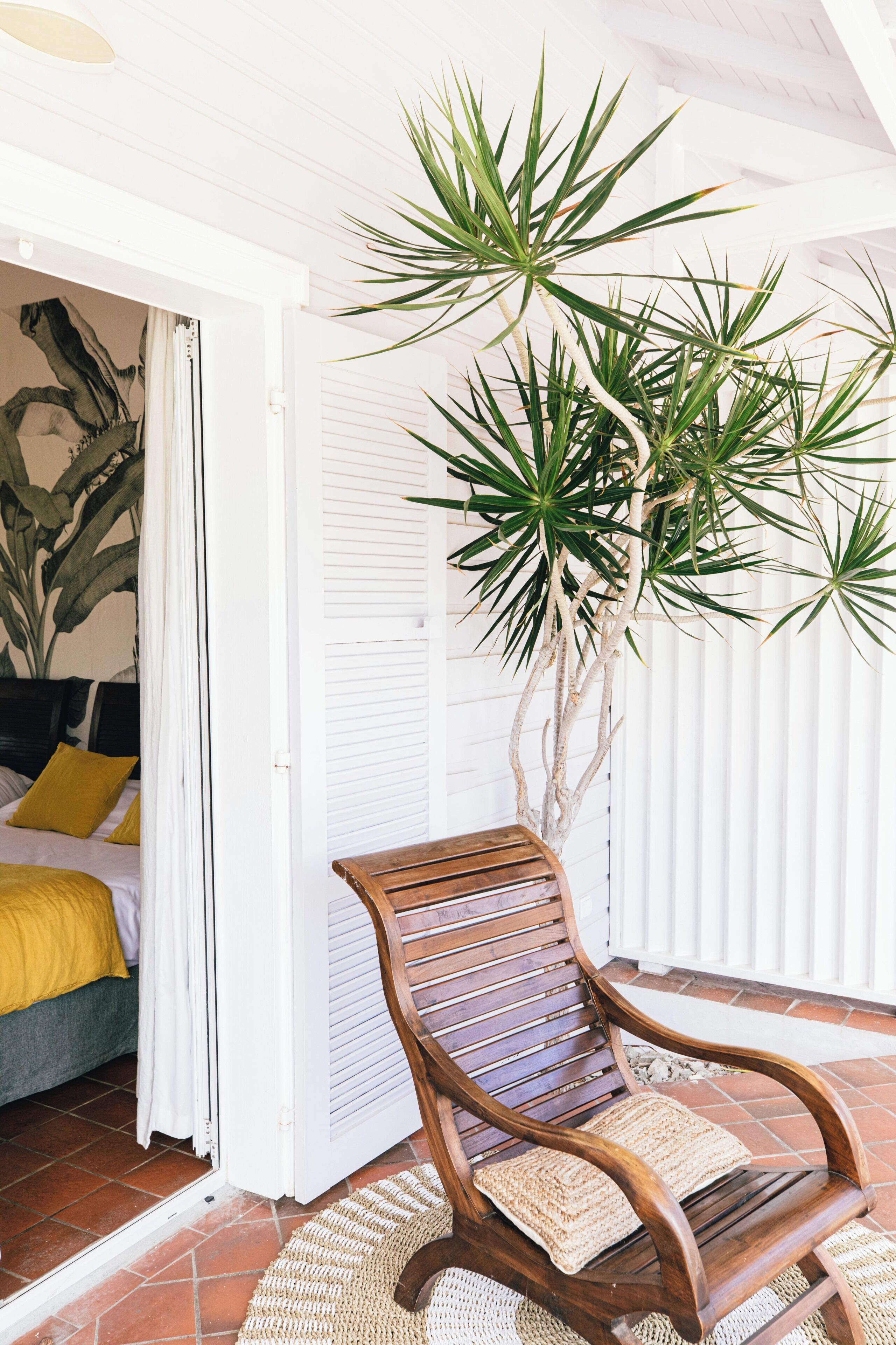A room with a bed, a wooden bench, a potted plant, and a white door.
