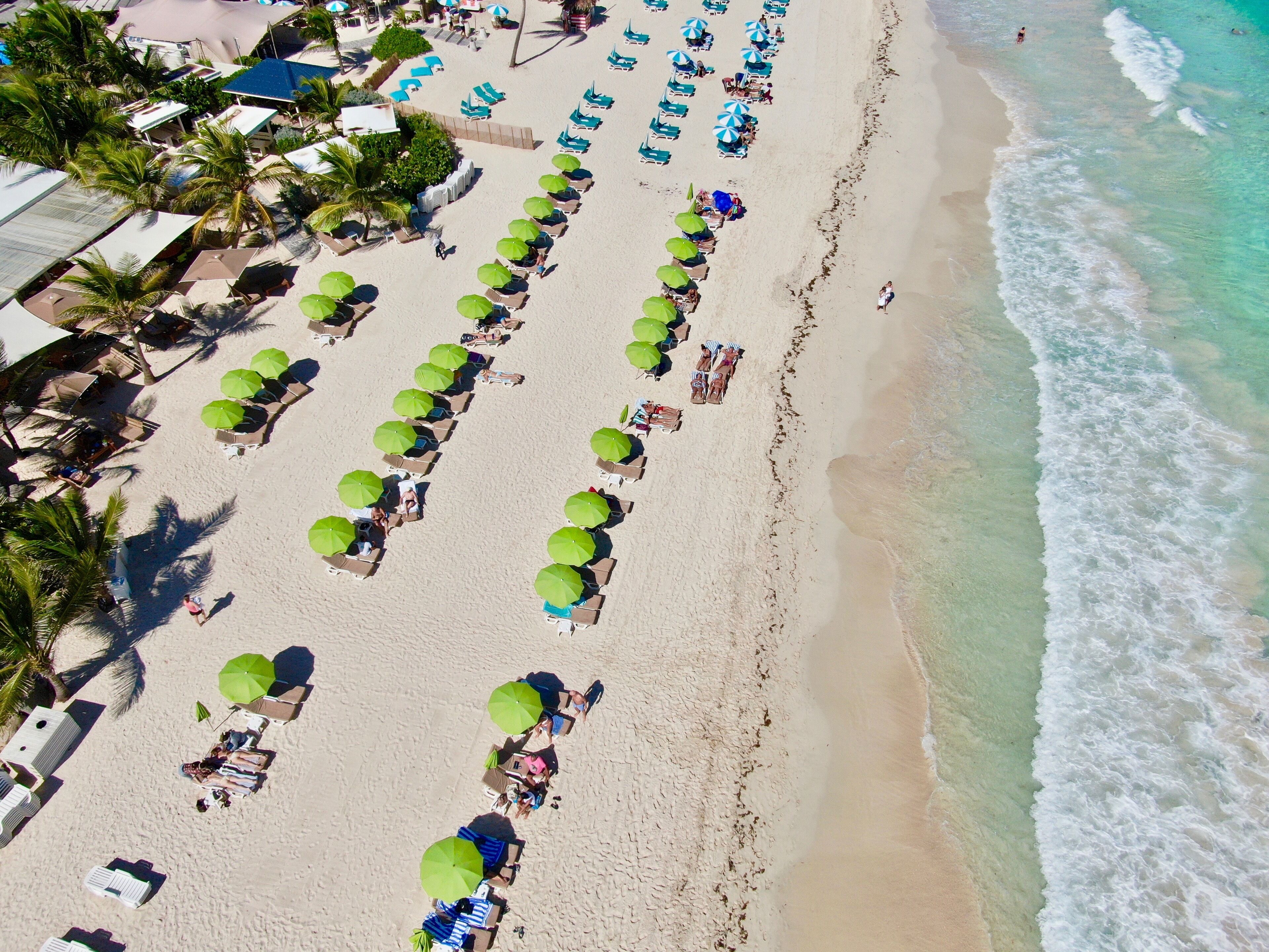 An aerial view of a beach with rows of sun loungers and umbrellas, a sandy shoreline, and palm trees.