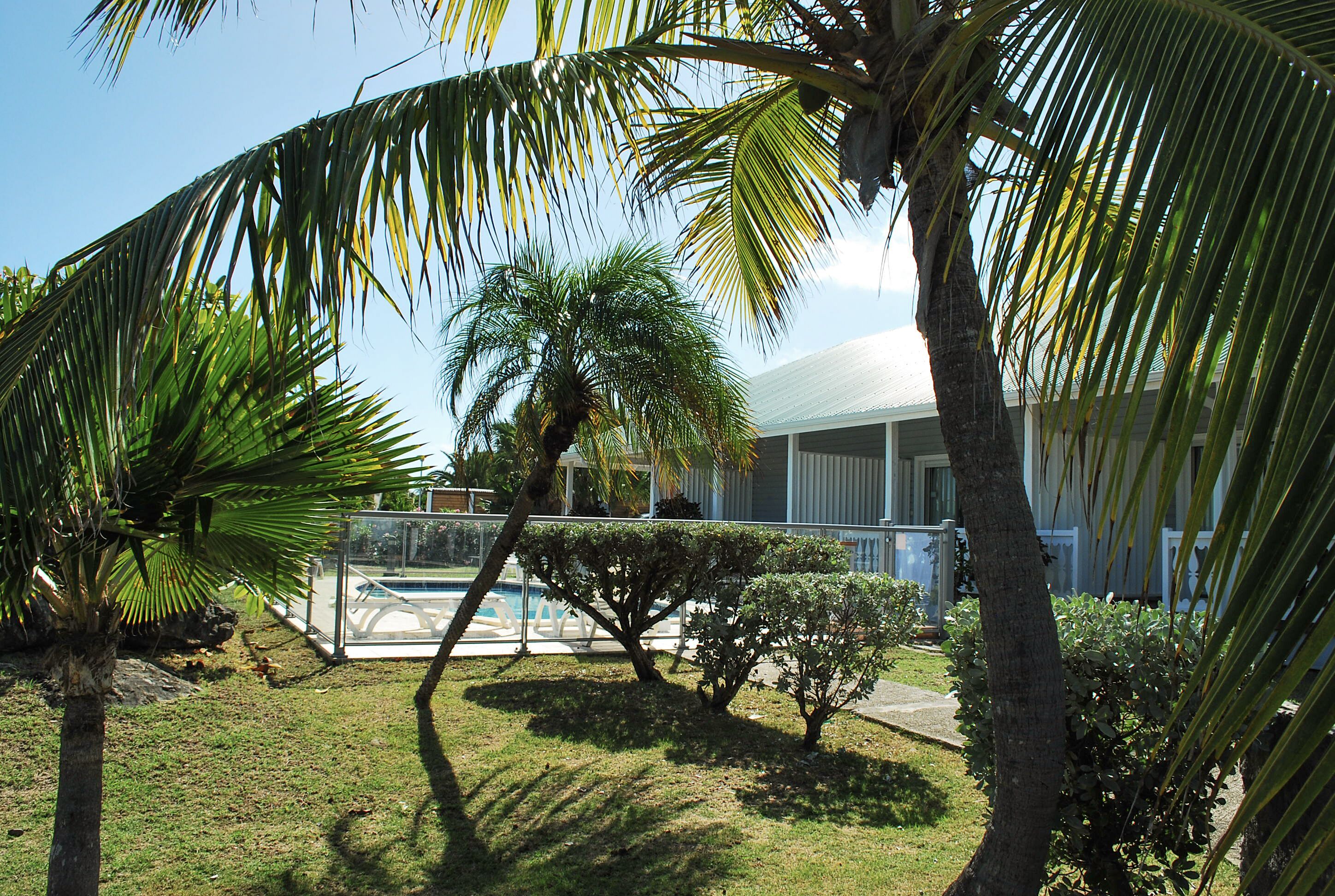 Un área de piscina con palmeras y un edificio al fondo.