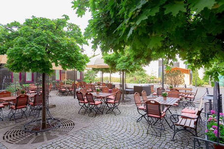 Jardín