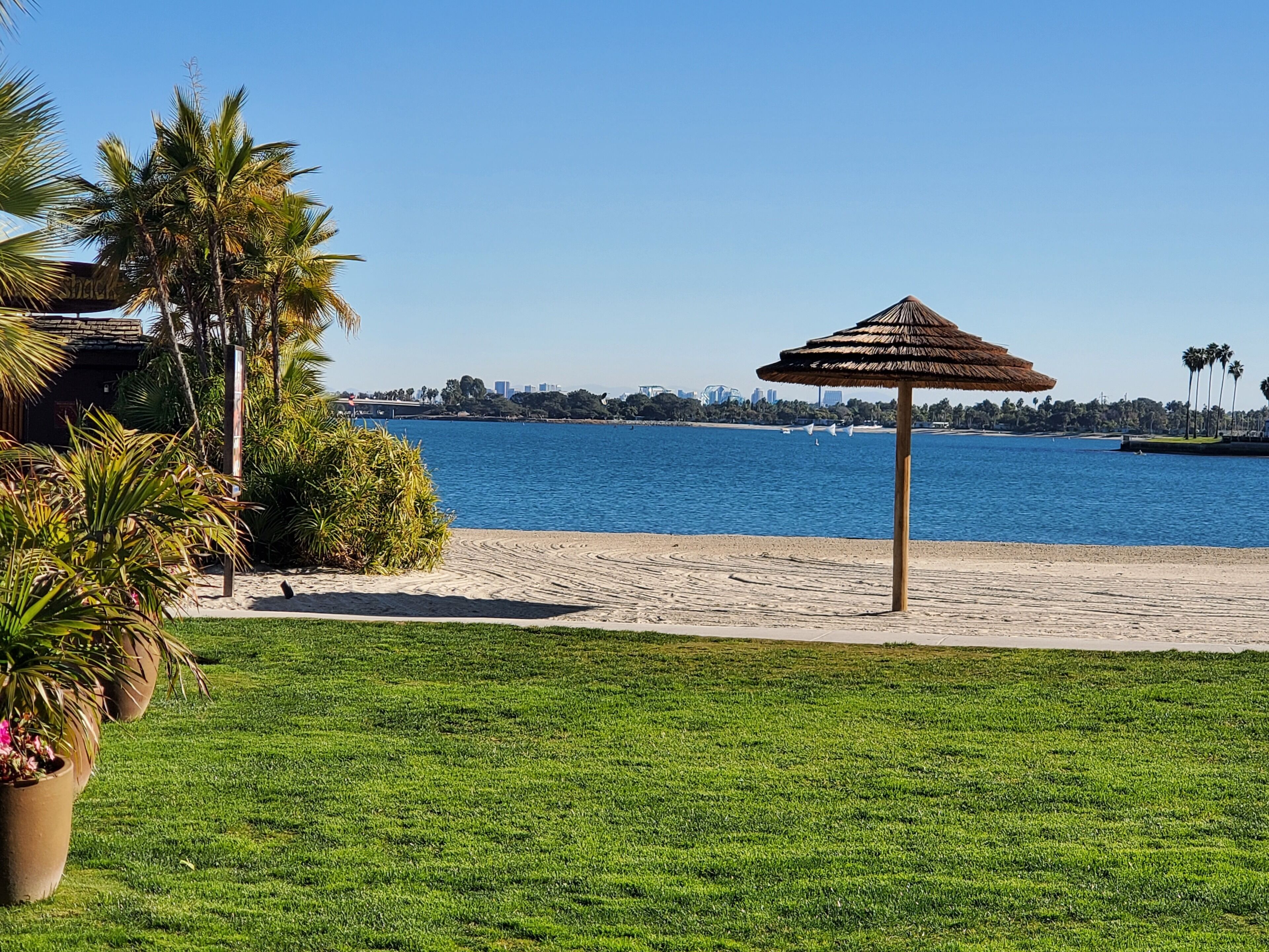 Una spiaggia con un ombrellone di paglia, palme e vista sullo skyline della città attraverso l'acqua.