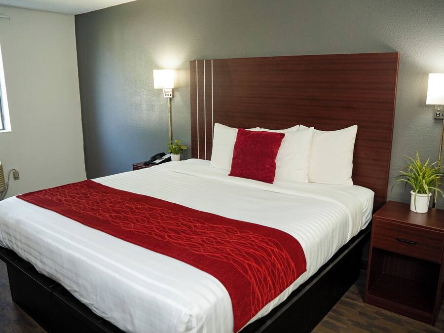 A hotel room with a large bed, a wooden headboard, bedside lamps, a nightstand, and a potted plant.