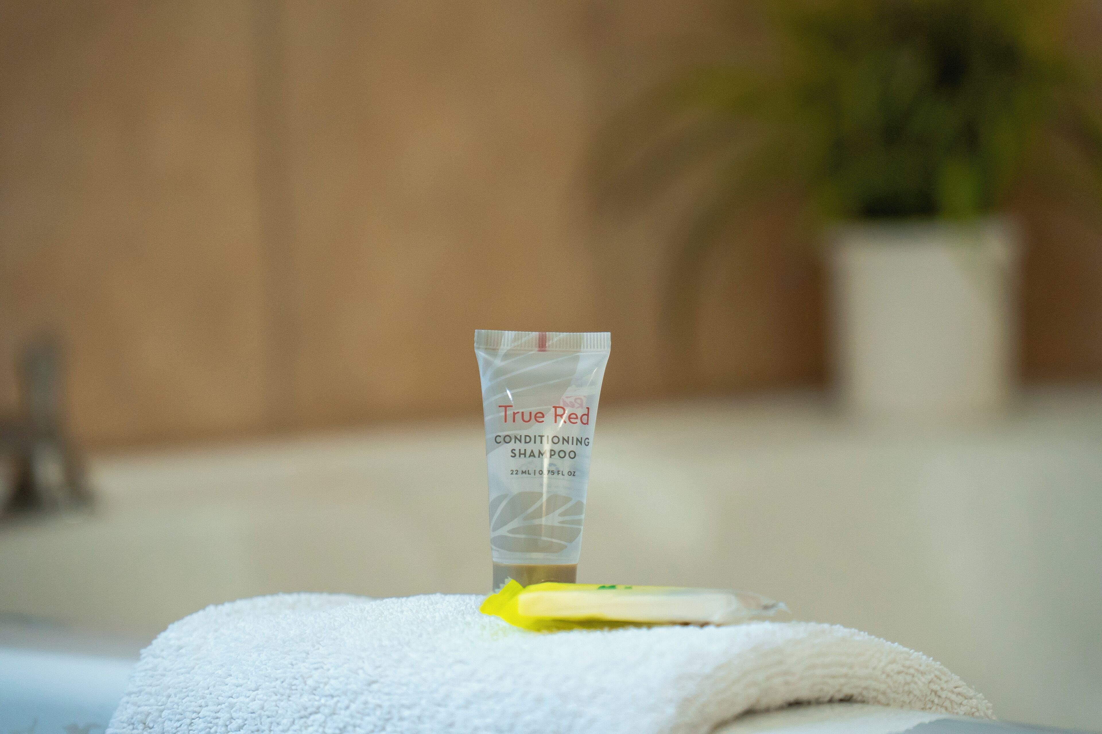 combined shower/bathtub, rainfall showerhead, free toiletries