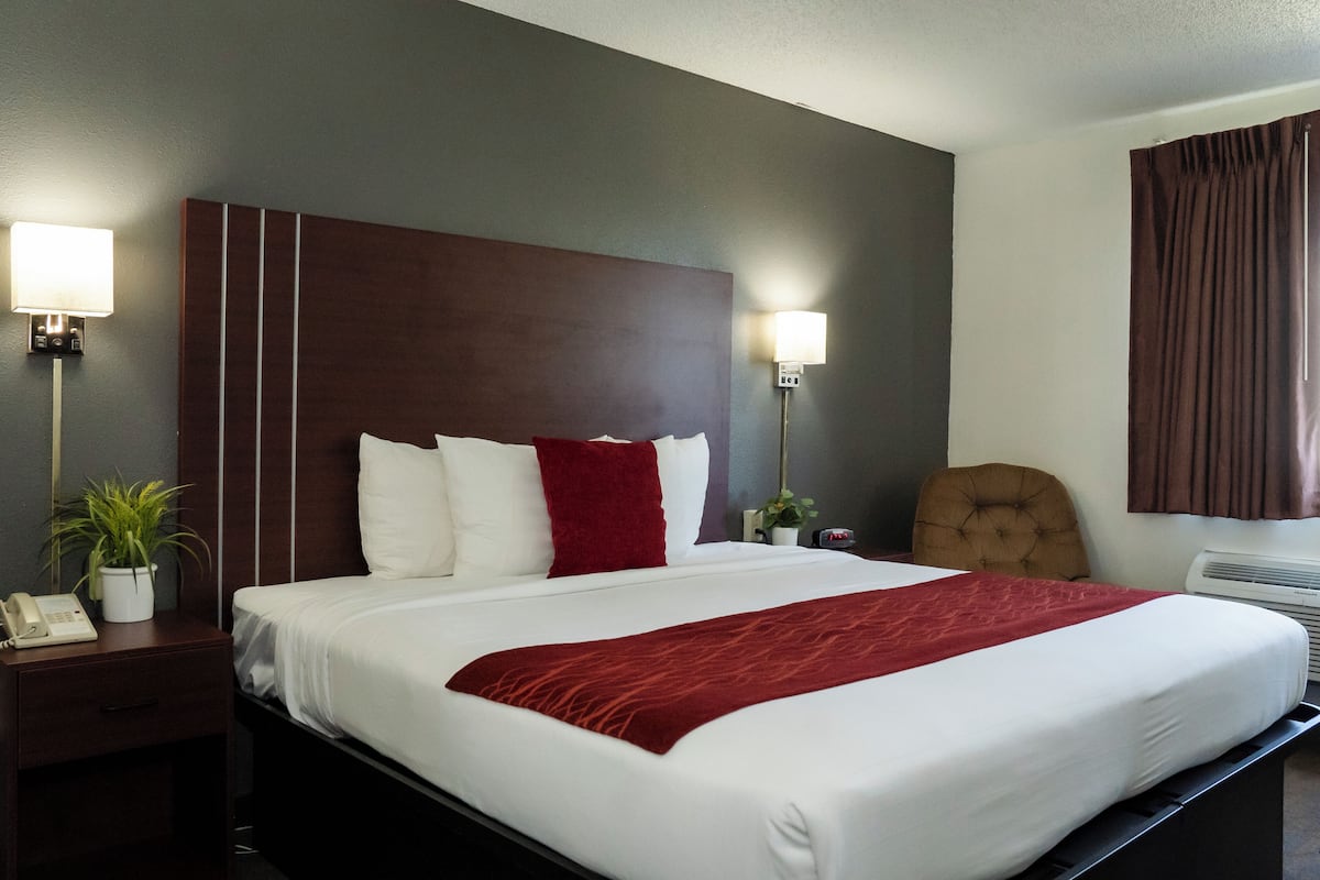 Comfort Single Room, 1 King Bed, Accessible, Non Smoking (42 inch TV) | Desk, laptop workspace, blackout curtains, iron/ironing board