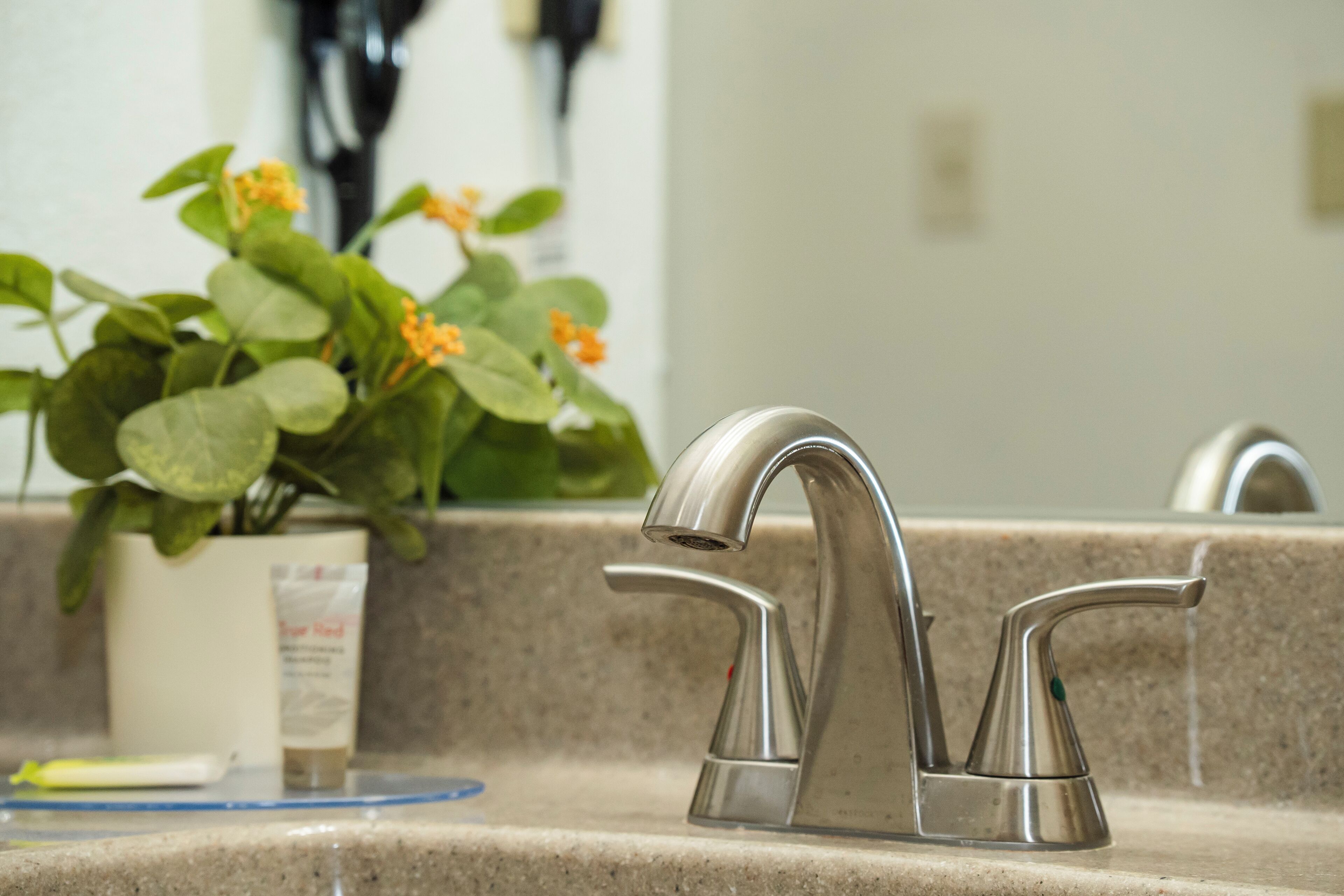 Un lavamanos de baño con un grifo moderno, una planta en maceta con hojas verdes y flores naranjas, y un dispensador de jabón en la encimera.