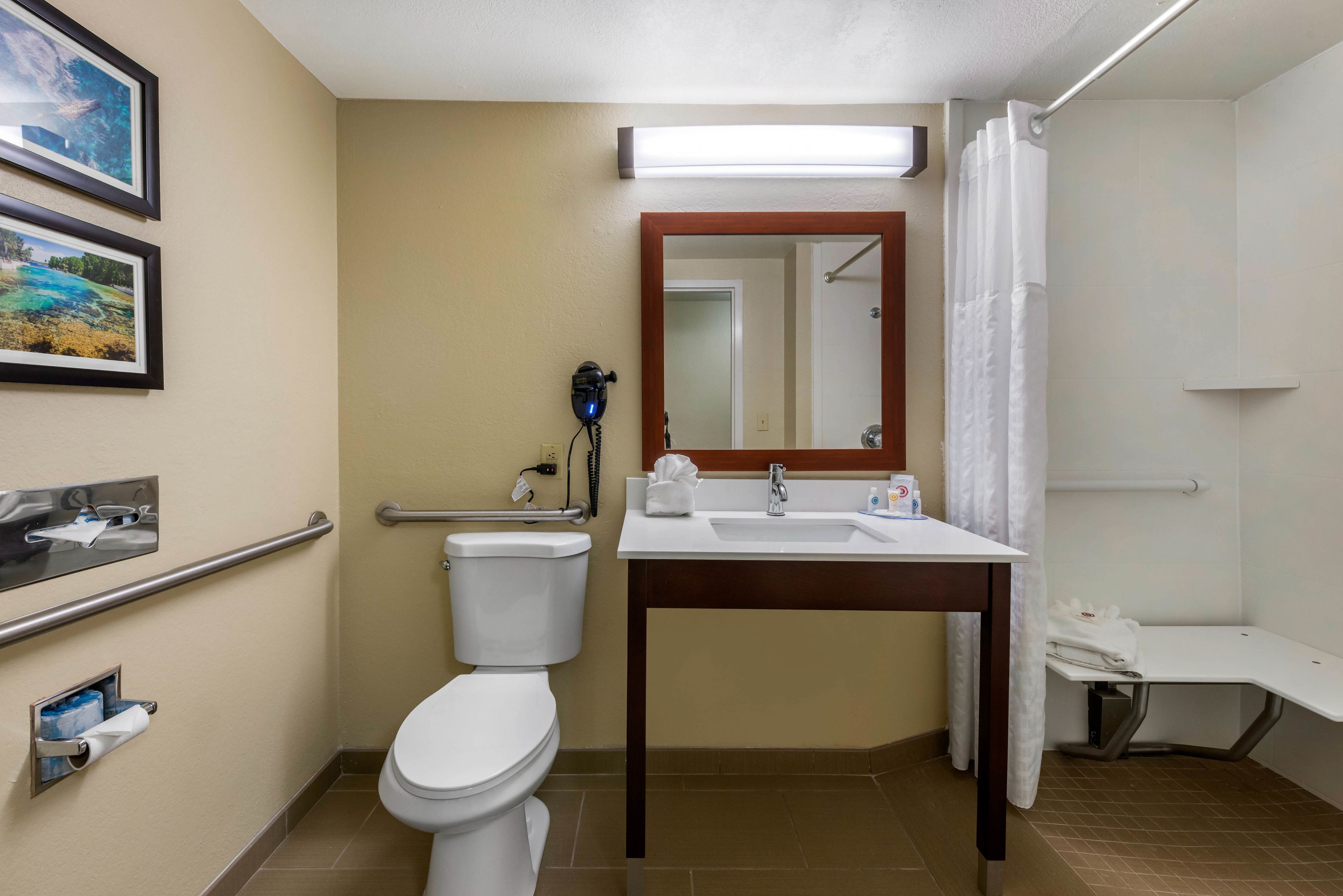 combined shower/bathtub, free toiletries, hair dryer, towels