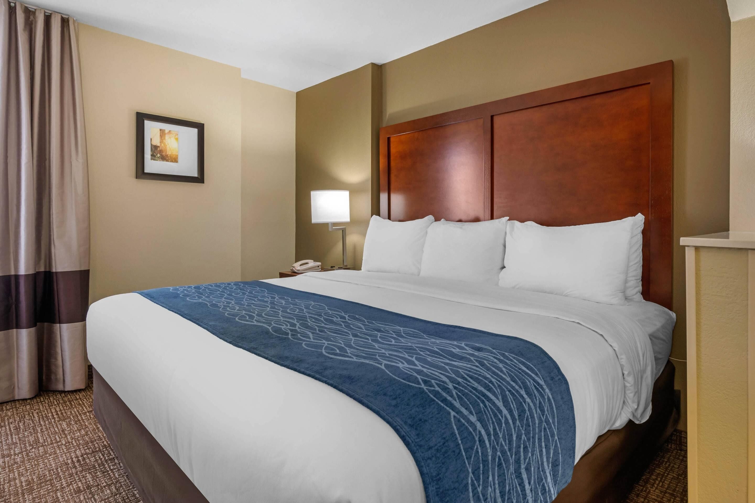 A hotel room with a large bed, a headboard, a bedside lamp, a phone, and a framed picture on the wall.