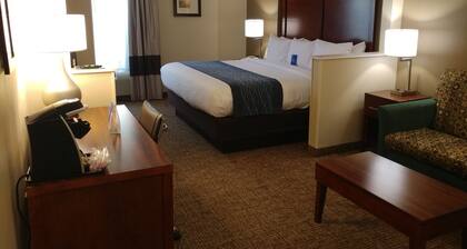 Comfort Inn Ocala Silver Springs