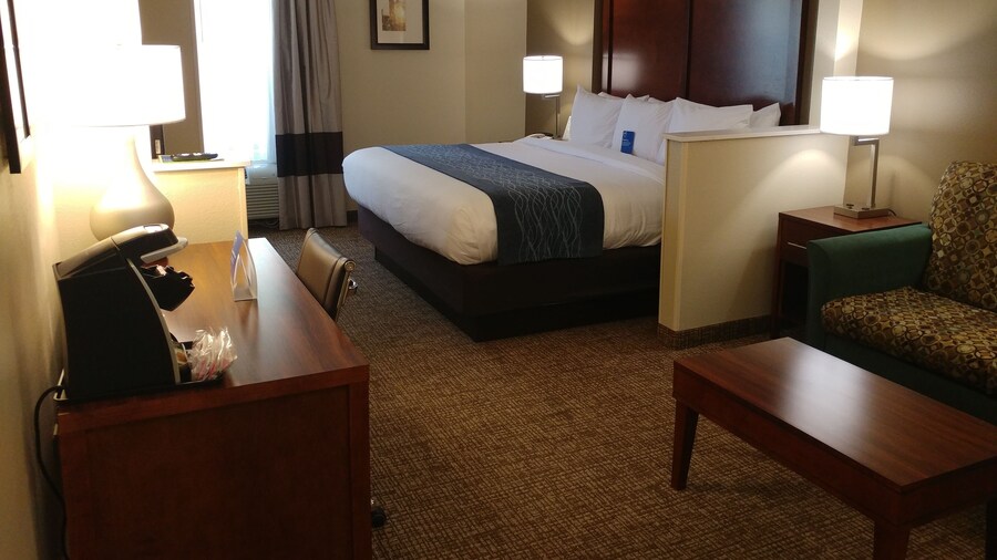 Comfort Inn Ocala Silver Springs