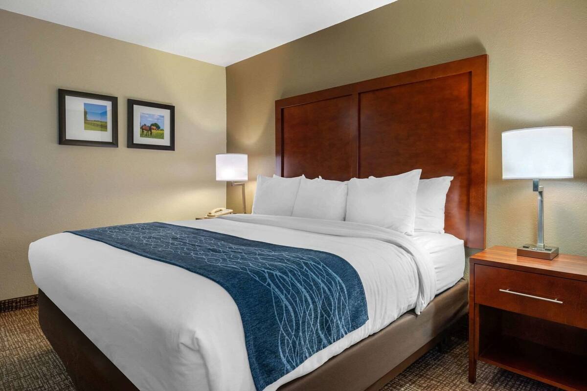 A hotel room with a bed, a nightstand, a lamp, and two framed pictures on the wall.