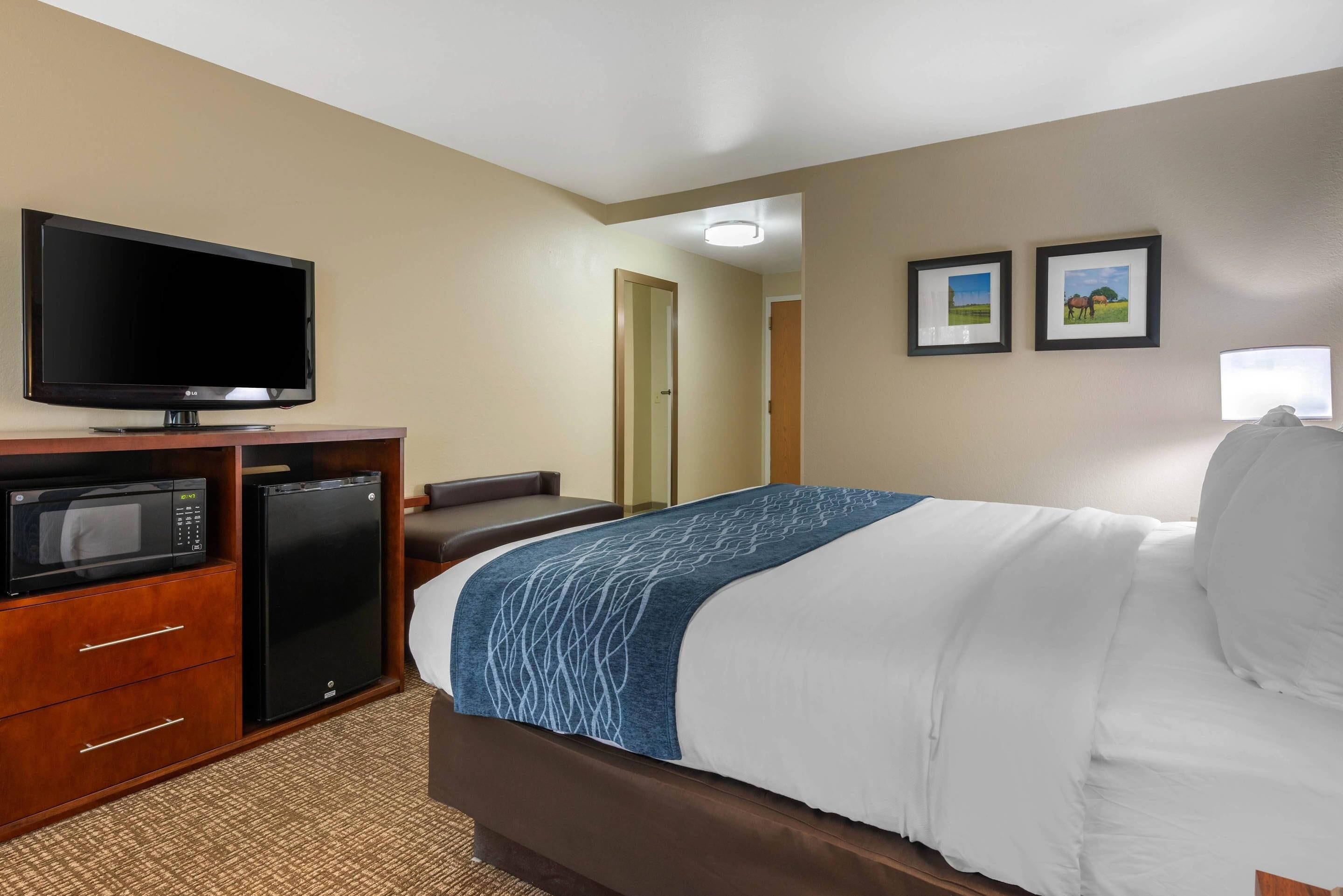 A hotel room with a bed, a TV, a microwave, and a refrigerator.
