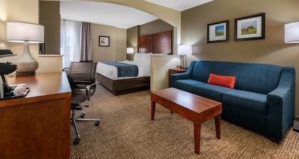 Comfort Inn Ocala Silver Springs