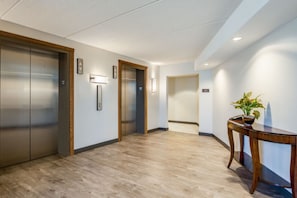 A modern hallway with wooden flooring, two elevators, and a reception desk with a potted plant.