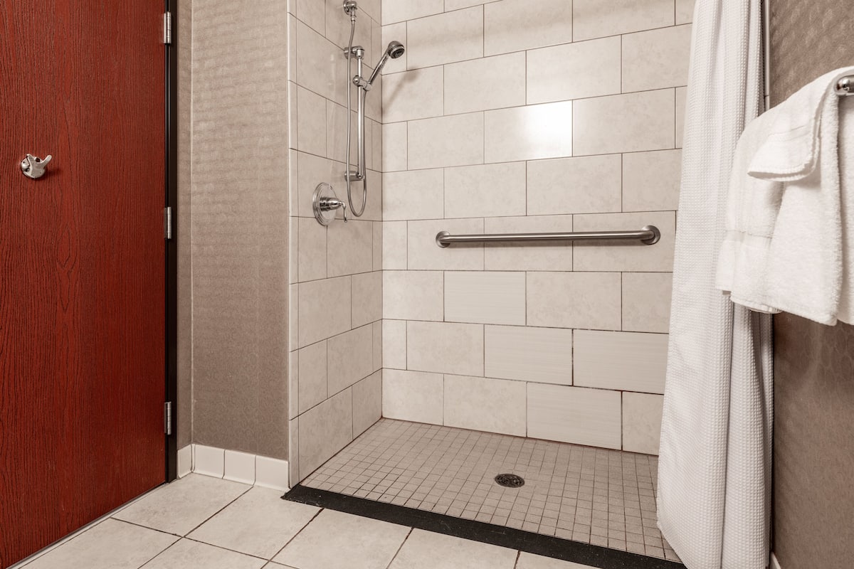 Standard Room, 1 King Bed, Accessible (Communications, Roll-In Shower) | 1 bedroom, premium bedding, in-room safe, desk
