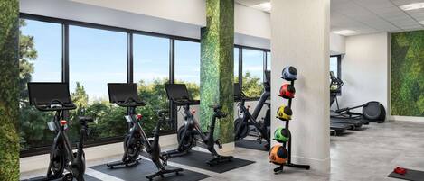 A modern gym with stationary bikes, treadmills, and a rack of weights.