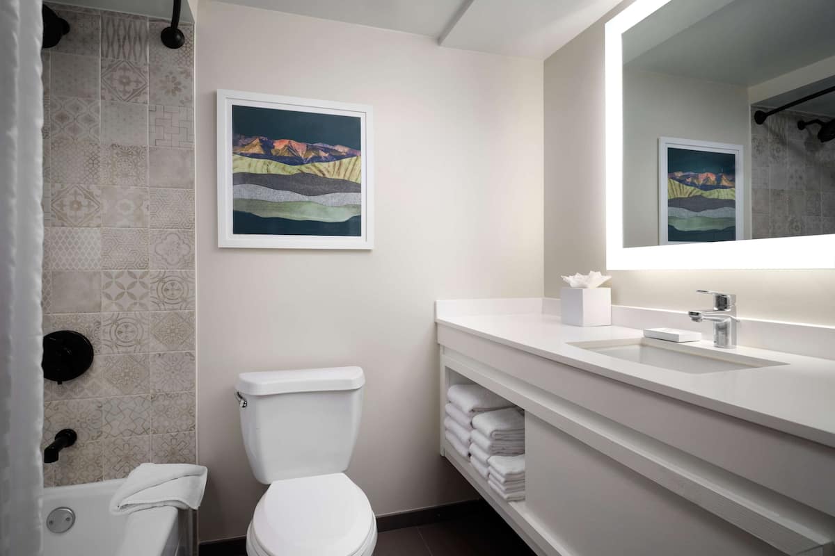 free toiletries, hair dryer, towels