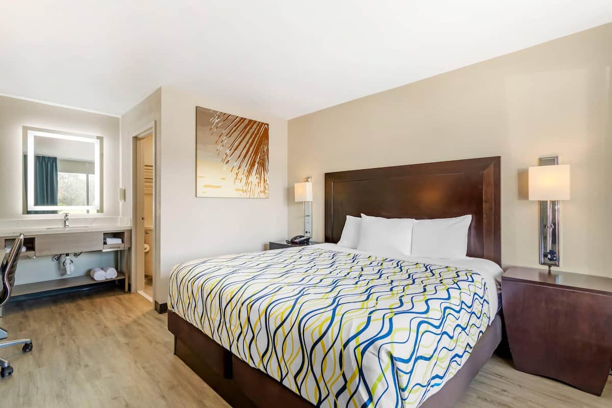 Kamar, 1 Tempat Tidur King, akses difabel, Bebas Asap Rokok | Meja kerja, ruang kerja ramah laptop, setrika/meja setrika, dan Wi-Fi