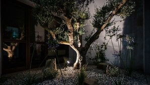 Un árbol con un diseño único en el tronco, en un jardín de guijarros y rocas.