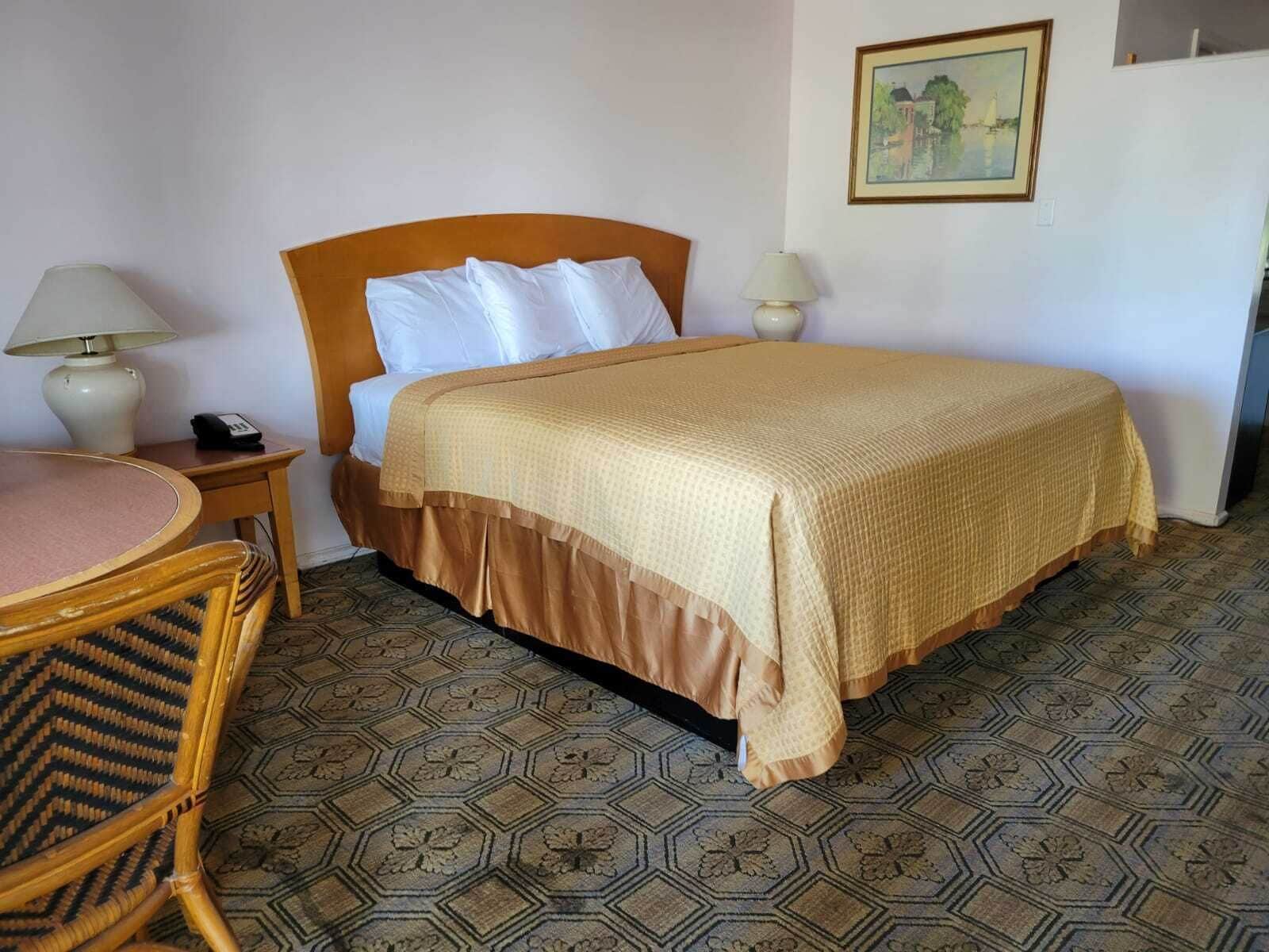 Una habitación de hotel con una cama, dos lámparas de noche, una silla de madera, una mesita pequeña y un suelo con diseño.