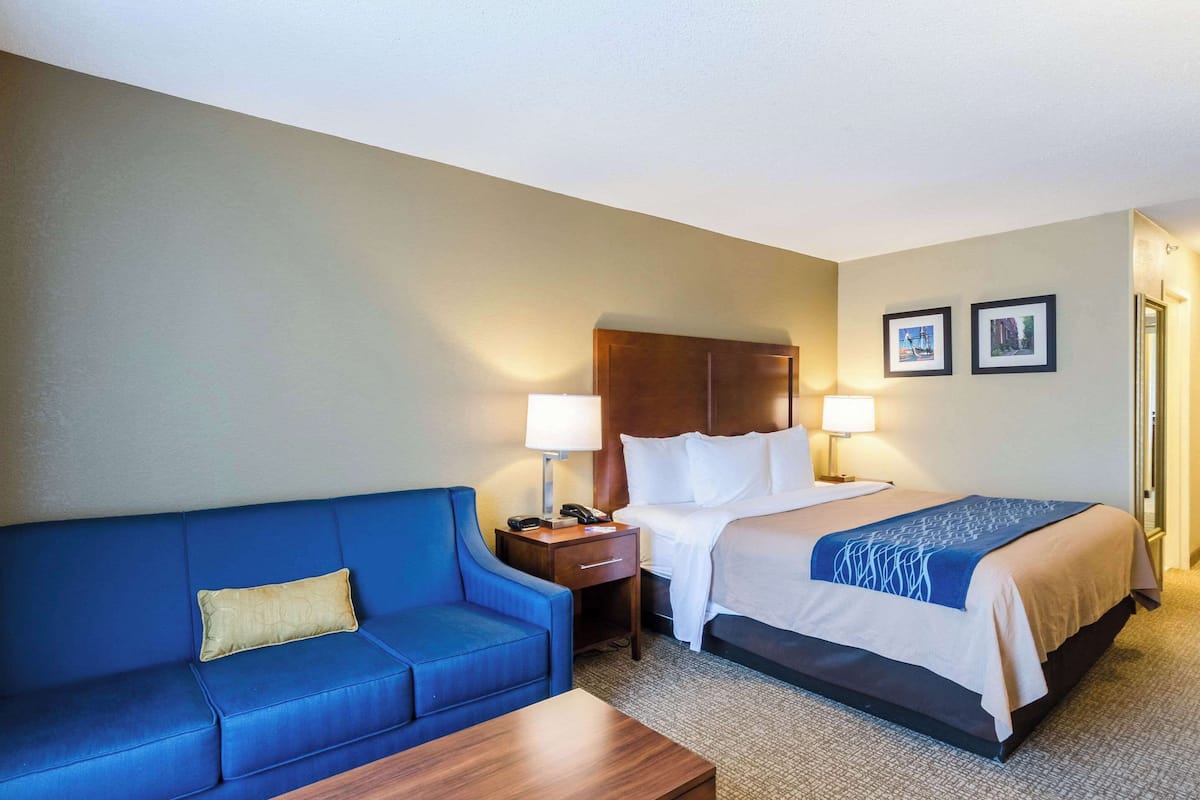 A hotel room with a bed, a blue sofa, a wooden nightstand, and two wall-mounted lamps.