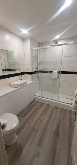 Un baño moderno con ducha envuelta en vidrio, un lavamanos blanco y un inodoro.