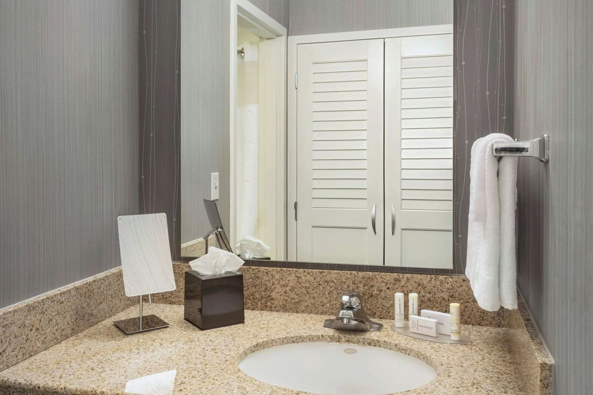 combined shower/bathtub, free toiletries, hair dryer, towels