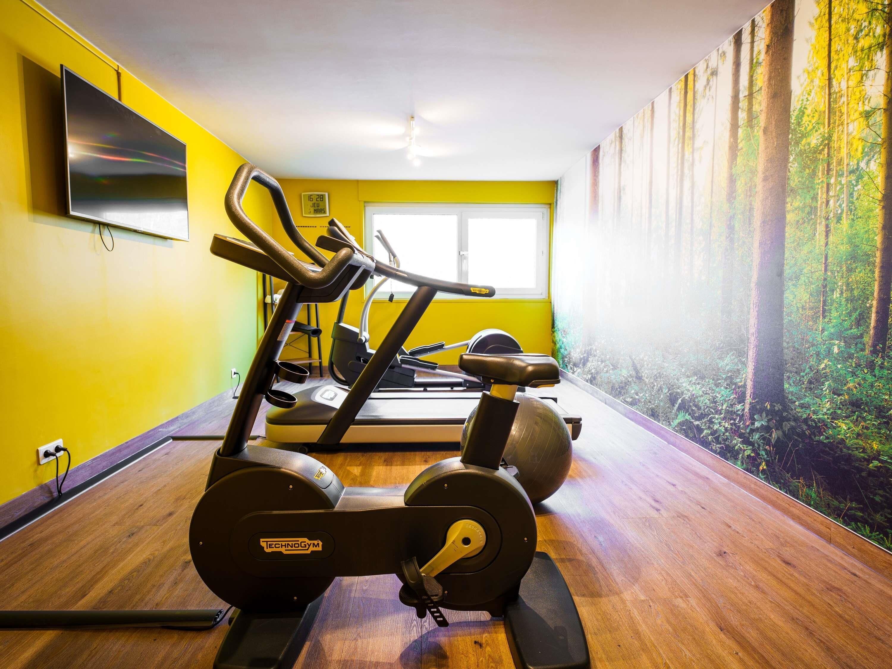 A gym with cardio machines, a mirror, and a large window with a forest mural.