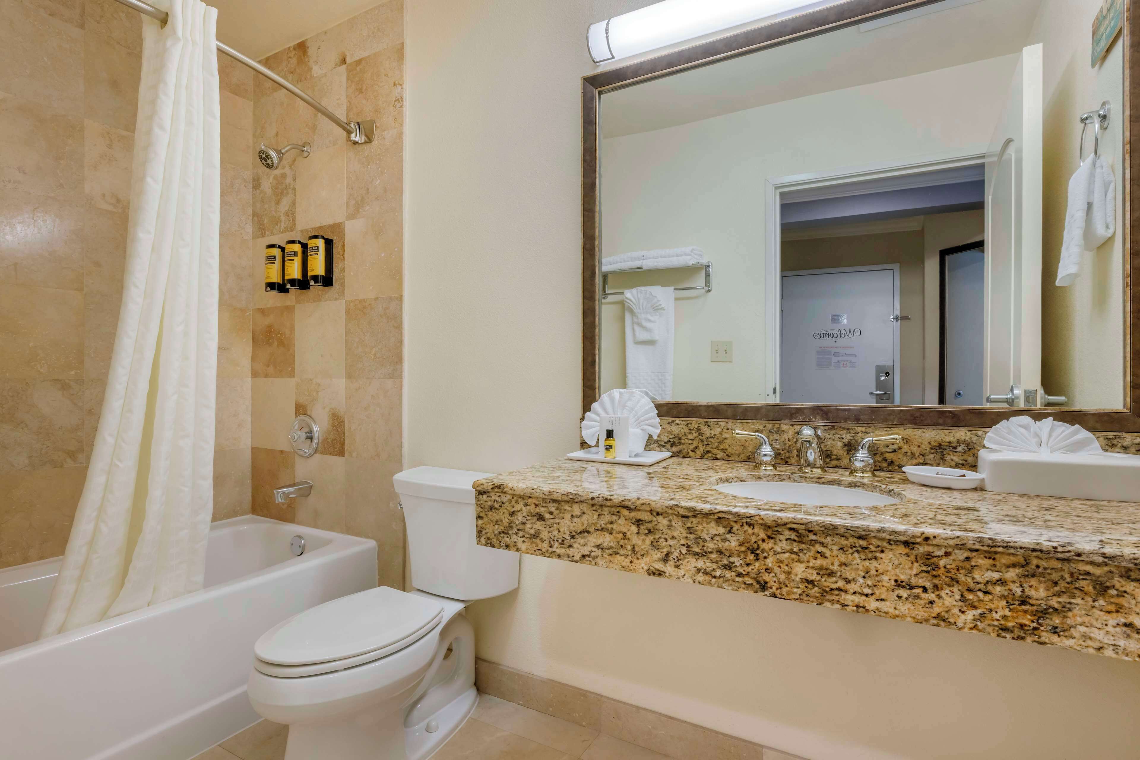 Une salle de bain avec une baignoire, des toilettes, un lavabo et un grand miroir.