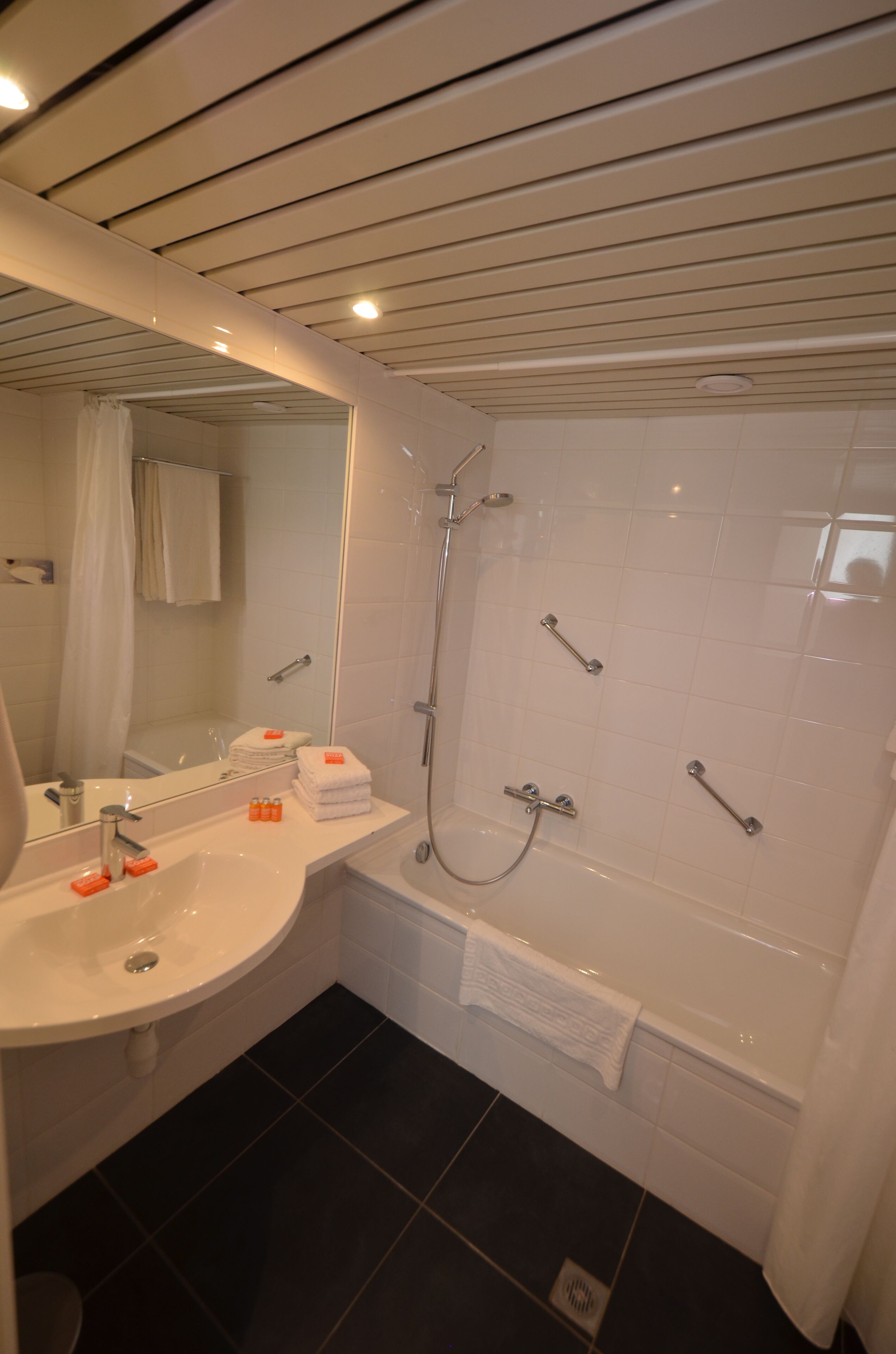 combined shower/bathtub, free toiletries, hair dryer, towels