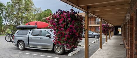 A covered parking area with a car and a kayak on the roof, surrounded by blooming flowers.