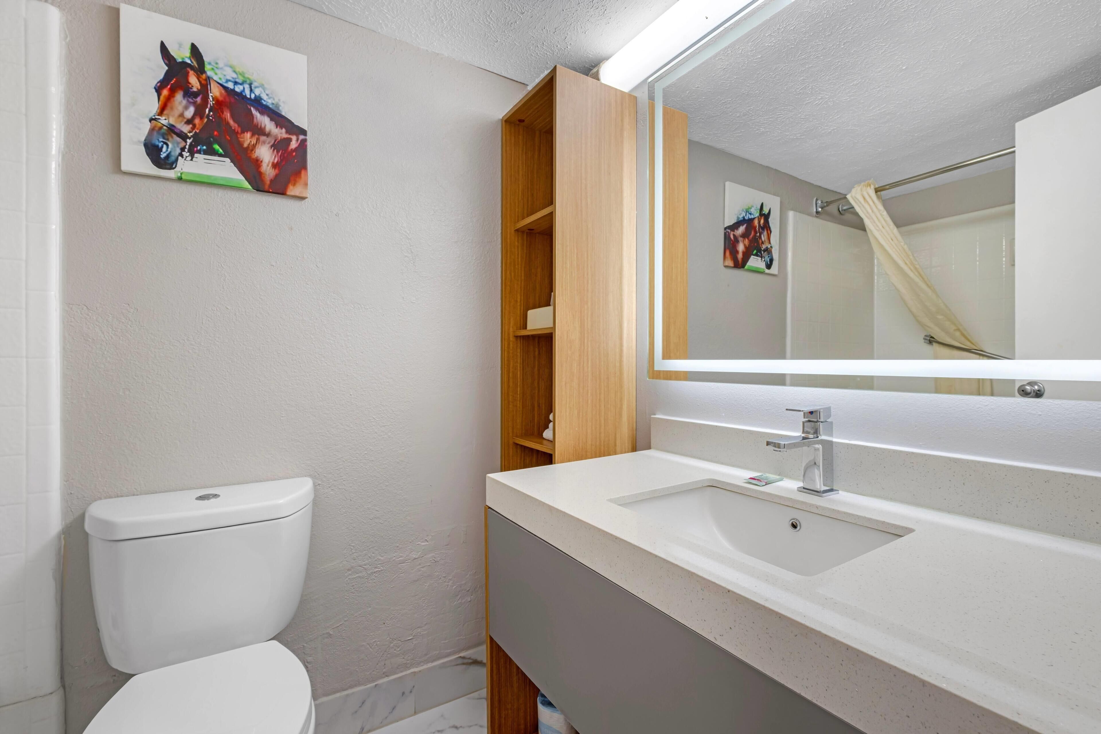 A bathroom with a white toilet, a large mirror, a wooden cabinet, and a sink.